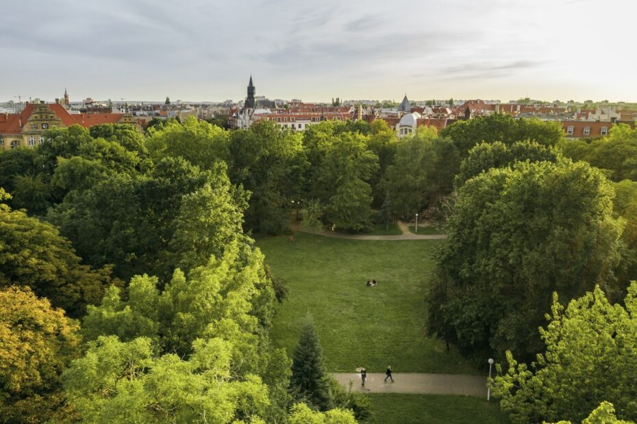 Duże-przestronne-słoneczne-tanie-w-przystępnej-cenie-pokoje-i-kawalerki-na-wynajem-w-centrum-Poznania-blisko-Uniwersytetu-medycznego-City-Park-Stary-Browar-łazarz-nowoczesne-styl-skandynawski-wiele-udogodnień-wysoki-standard-pralnia-osobne-łazienki-w-kamienicy