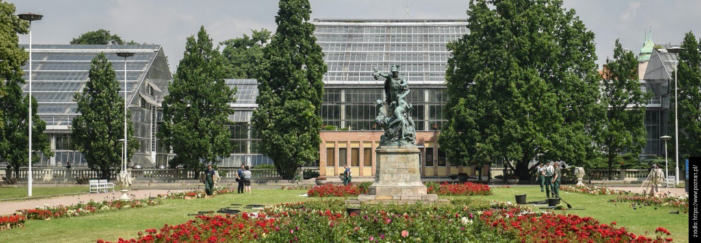 Duże-przestronne-słoneczne-tanie-w-przystępnej-cenie-pokoje-i-kawalerki-na-wynajem-w-centrum-Poznania-blisko-Uniwersytetu-medycznego-City-Park-Stary-Browar-łazarz-nowoczesne-styl-skandynawski-wiele-udogodnień-wysoki-standard-pralnia-osobne-łazienki-w-kamienicy